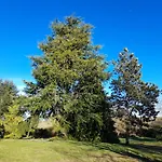 Prázdninový dům Charmantes Haus In Der Auvergne By Interhome *