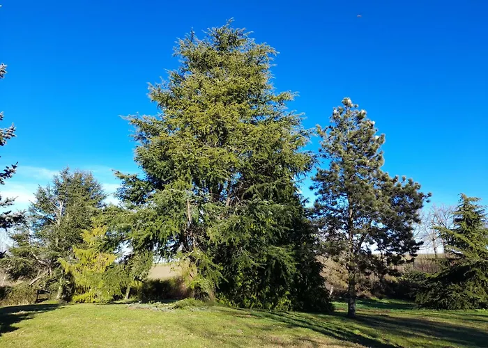Hébergement de vacances Charmantes Haus In Der Auvergne By Interhome *
